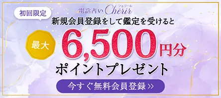 最大6,500円分ポイントプレゼント