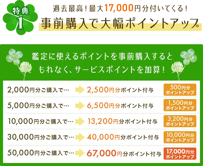 事前購入で大幅ポイントアップ