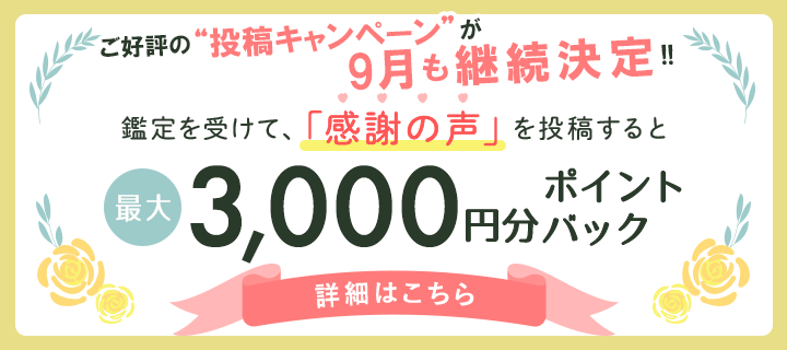 感謝の声投稿で3,000ptバナー