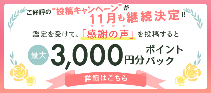 感謝の声投稿で3,000ptバナー