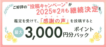 感謝の声を投稿すると最大3,000円分ポイントプレゼント