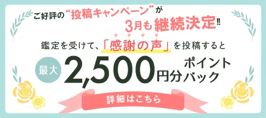 感謝の声投稿で2,500ptバナー