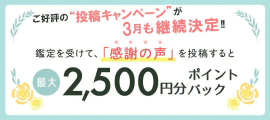 感謝の声を投稿すると最大3,000円分ポイントプレゼント