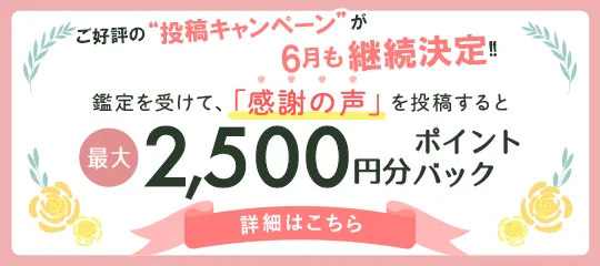 感謝の声投稿で2,500ptバナー