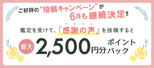 感謝の声を投稿すると最大2,500円分ポイントプレゼント