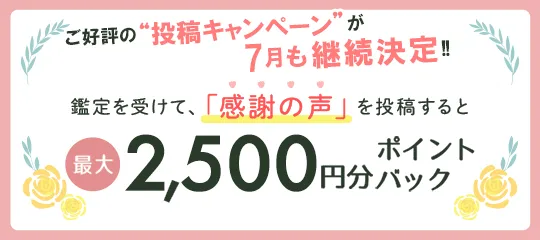 感謝の声を投稿すると最大2,500円分ポイントプレゼント