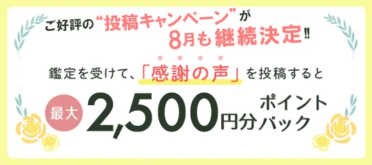感謝の声を投稿すると最大2,500円分ポイントプレゼント