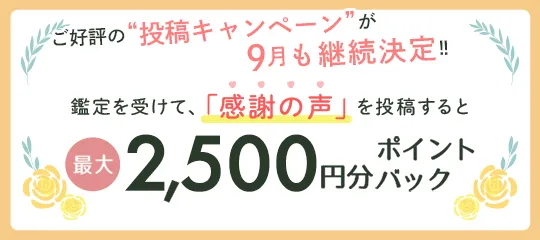 感謝の声を投稿すると最大2,500円分ポイントプレゼント