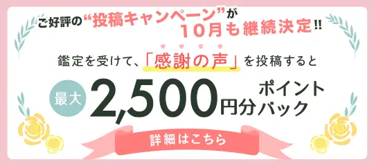 感謝の声投稿で2,500ptバナー