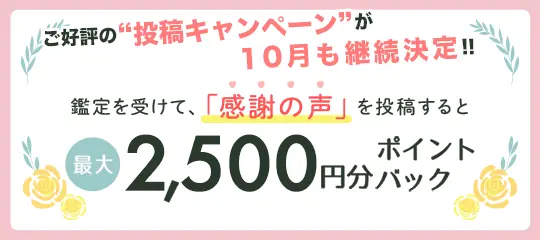 感謝の声を投稿すると最大2,500円分ポイントプレゼント