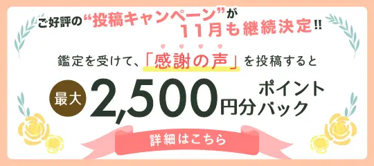 感謝の声投稿で2,500ptバナー