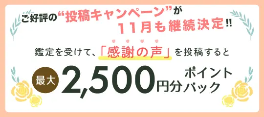 感謝の声を投稿すると最大2,500円分ポイントプレゼント
