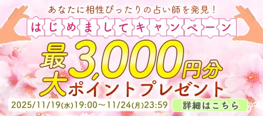 最大3,000円分ポイントプレゼント