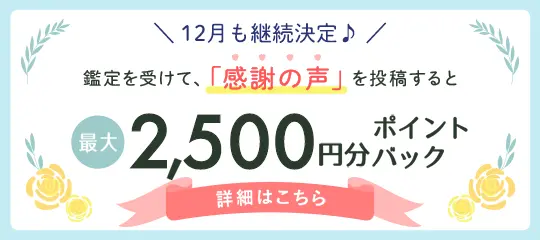 感謝の声投稿で2,500ptバナー