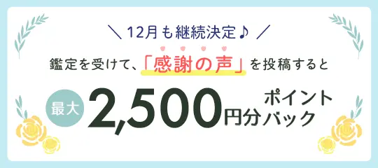 感謝の声を投稿すると最大2,500円分ポイントプレゼント