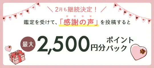 感謝の声を投稿すると最大2,500円分ポイントプレゼント