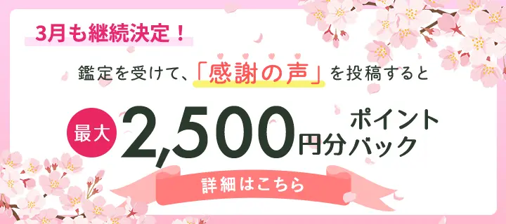感謝の声投稿で2,500ptバナー