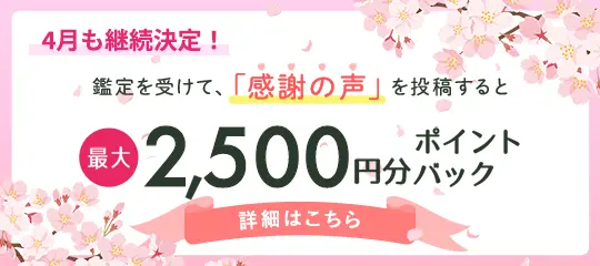 感謝の声投稿で2,500ptバナー