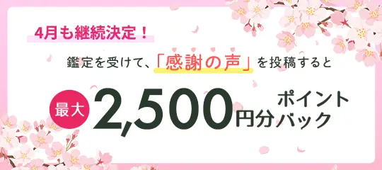 感謝の声を投稿すると最大2,500円分ポイントプレゼント