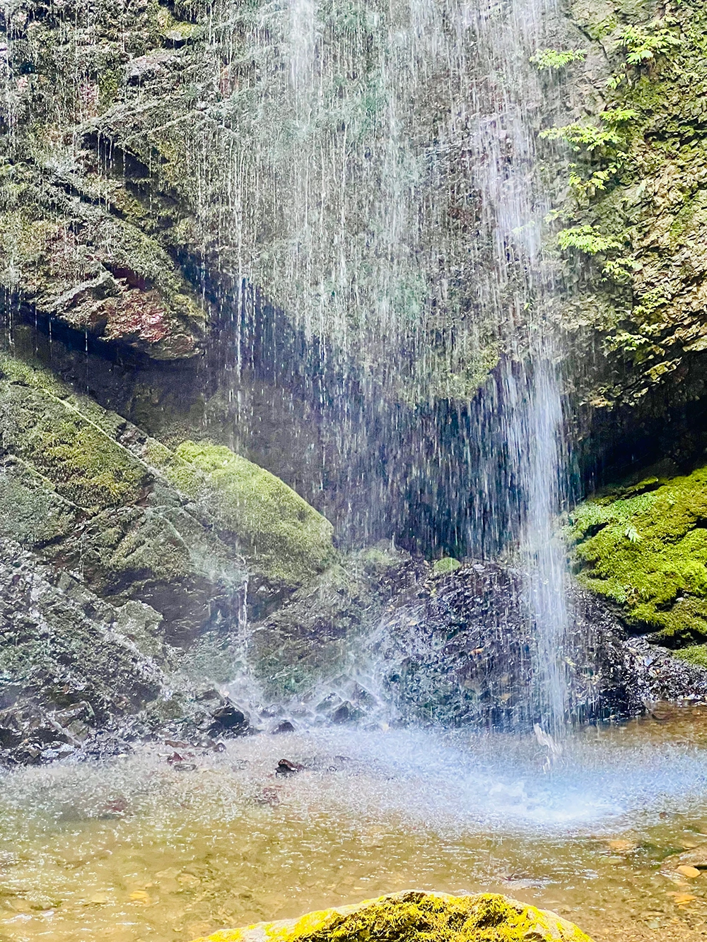 滝の画像