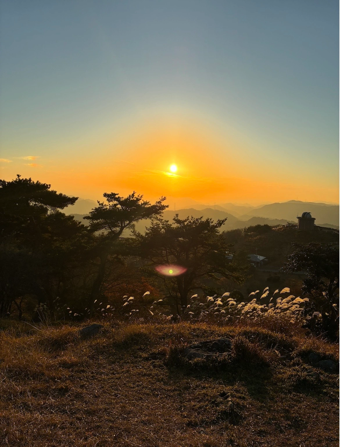 夕日画像