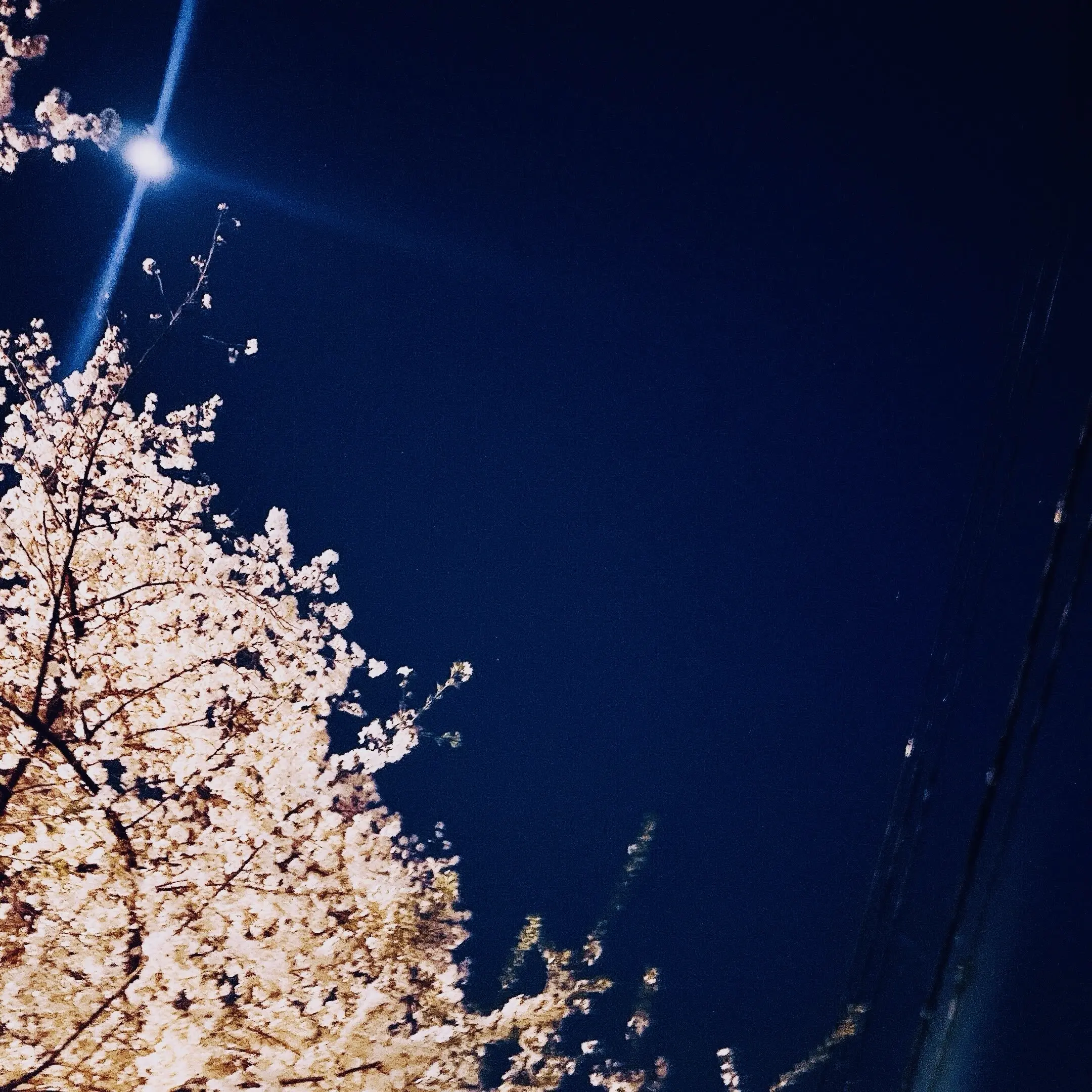 タロットの画像