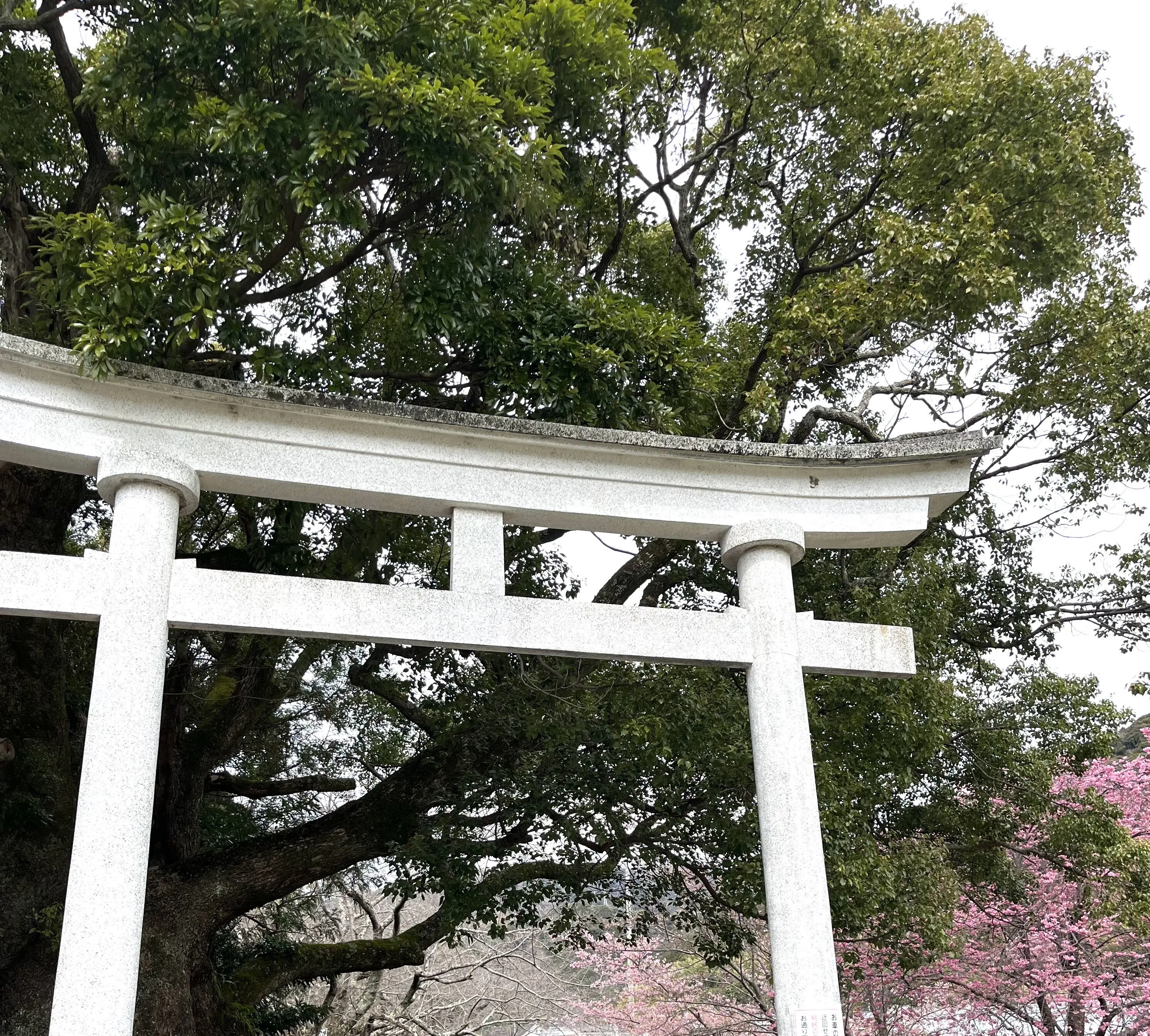 神社の写真