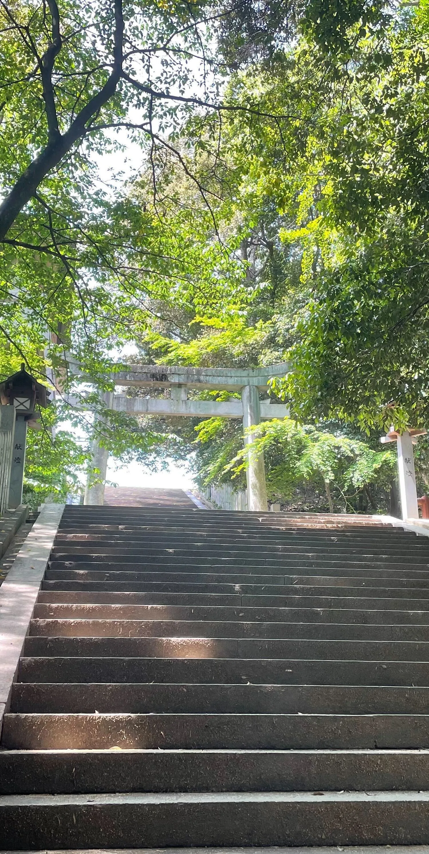 神社の写真