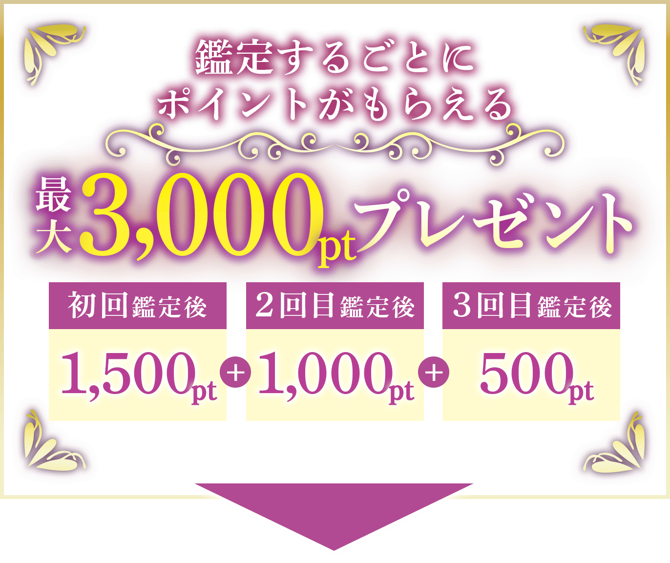 鑑定すると最大3000ポイントプレゼント
