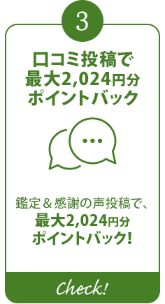 口コミ投稿で最大2,024円分ポイントバック