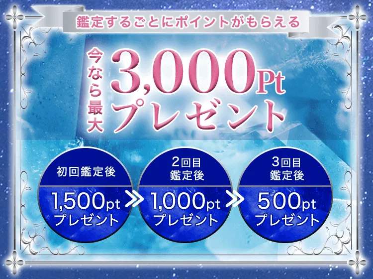 3,000ptプレゼント